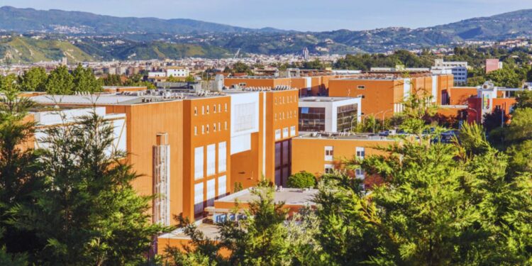 Il campus dell'Università della Calabria (UniCal)