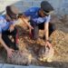I carabinieri sul luogo del mini zoo a Gioia Tauro