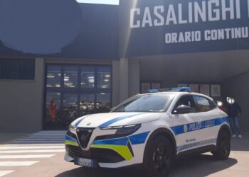 La Polizia locale di Vibo Valentia durante l'intervento