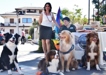Santa Domenica di Ricadi, concorso fotografico #Animali intorno a noi: domenica la premiazione