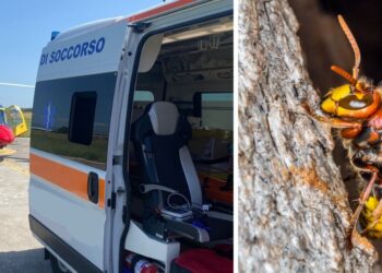 Un'ambulanza e l'elisoccorso durante un intervento. A destra l'immagine di un calabrone