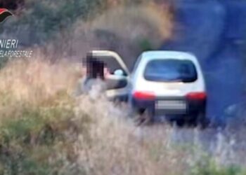 Il piromane beccato dai carabinieri ad appiccare un incendio ad Acri, Cosenza