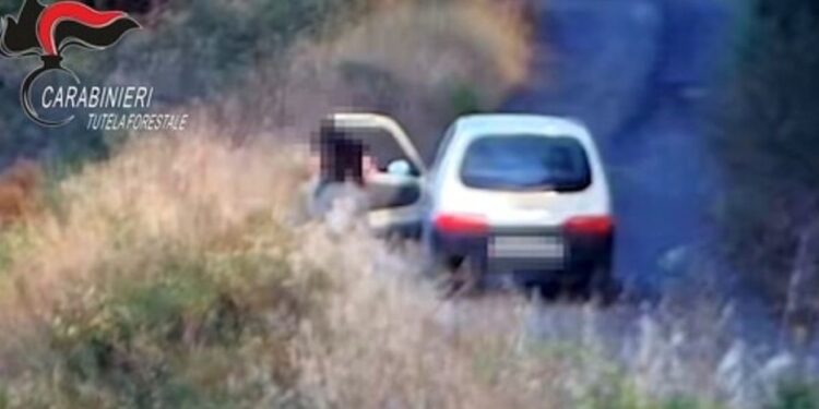 Il piromane beccato dai carabinieri ad appiccare un incendio ad Acri, Cosenza