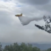 Zungri, grosso incendio difficile da domare: fiamme alimentate dal vento – VIDEO