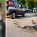 Joppolo. Cordoglio e vicinanza per il piccolo Mattia, il bimbo di 7 anni deceduto ad Adria