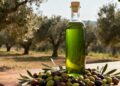 Una bottiglia di olio, delle olive e un uliveto sullo sfondo