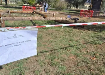 Vibo. Incidente al Parco Urbano, bambino ferito gravemente: operato è in rianimazione