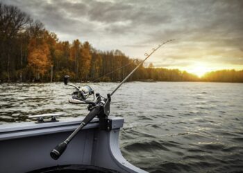 Pesca e acquacoltura, in arrivo dalla Regione oltre 2 milioni di euro