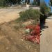 Tropea, ancora detriti sulla strada per il porto: la denuncia di Piserà – FOTO