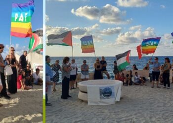 Santa Domenica per Gaza. Un grido di pace per la mobilitazione “Se non ora, quando?”