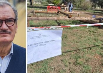 Vibo. Bimbo ferito al Parco, Romeo: «Sento silenzioso rispetto, coltivo la speranza»