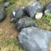 Serra, gli incivili tornano a colpire: ancora rifiuti dopo la pulizia di Plastic Free