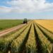 Agricoltura protagonista a Vibo Valentia: oggi il confronto all’Itg