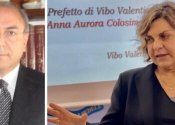 Sanità. L’Associazione “Ali di Vibonesità” ricevuta dal prefetto Colosimo