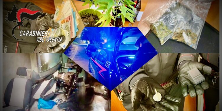 Vibo Valentia. Armi, droga, ricettazione e lavoro nero: otto persone denunciate dai Carabinieri