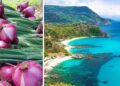 La cipolla rossa e uno scorcio della Costa degli Dei, Capo Vaticano