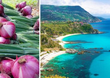 La cipolla rossa e uno scorcio della Costa degli Dei, Capo Vaticano