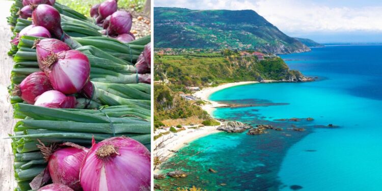 La cipolla rossa e uno scorcio della Costa degli Dei, Capo Vaticano