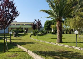 Il Don Mottola Medical Center di Drapia, Vibo Valentia