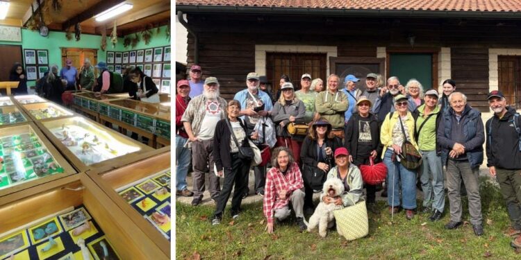 Micologi internazionali in visita al Parco delle Serre: viaggio tra scienza, cultura e natura