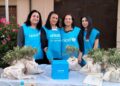 Successo nel Vibonese per la Campagna Ulivo di Unicef: distribuite oltre 500 piantine