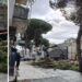 L'abbattimento degli alberi in via dante a vibo valentia