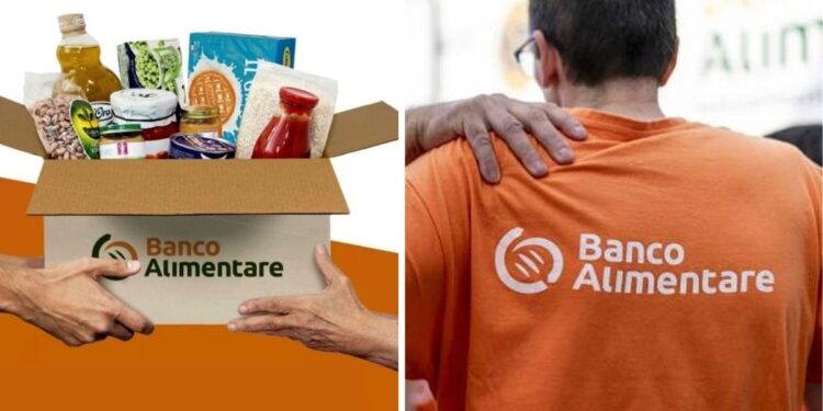 Colletta alimentare, sabato 500 punti vendita coinvolti in Calabria