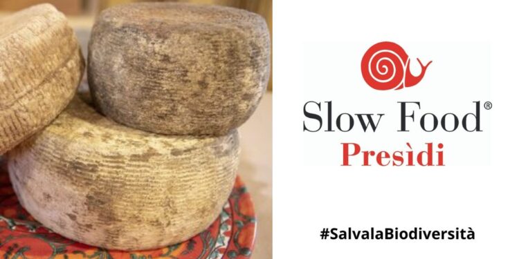 I Caprini dell’Aspromonte diventano Presidio Slow Food