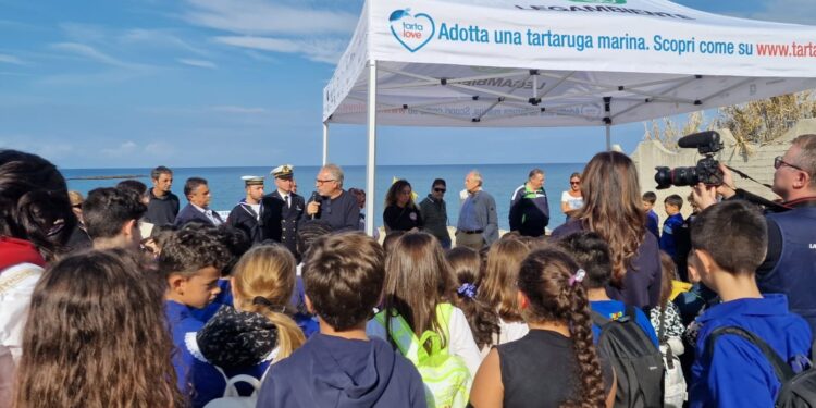 Santa Domenica, reintrodotte in natura due tartarughe sulla spiaggia di Formicoli