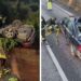 Incidente a Longobardi, auto esce fuori strada e precipita per 15 metri: due persone ferite