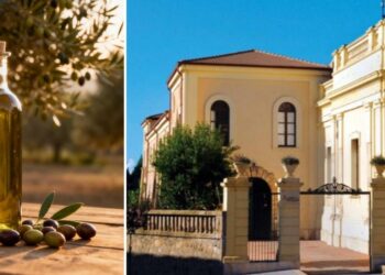 Gli extravergini vibonesi secondo Slow Food: focus e analisi sensoriale sull’olio EVO della provincia