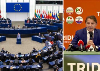 Pasquale Tridico e il Parlamento europeo