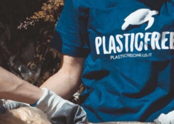 Parghelia si candida ufficialmente all’iniziativa “Comuni Plastic Free 2026”