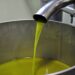 Sol and the City Sud: il Festival dell’olio calabrese approda all’Ente Fiera di Catanzaro