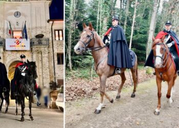 I carabinieri a cavallo nel Vibonese