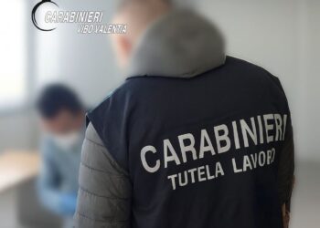 Lavoro irregolare nel Vibonese. Dai carabinieri  denunce e sanzioni per migliaia di euro