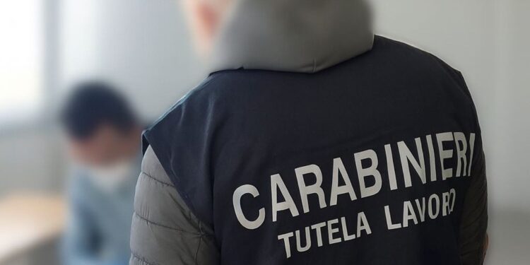 Lavoro irregolare nel Vibonese. Dai carabinieri  denunce e sanzioni per migliaia di euro