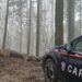 I Carabinieri del Nucleo Forestale nel Parco delle Serre