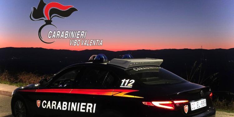 I carabinieri di Vibo Valentia