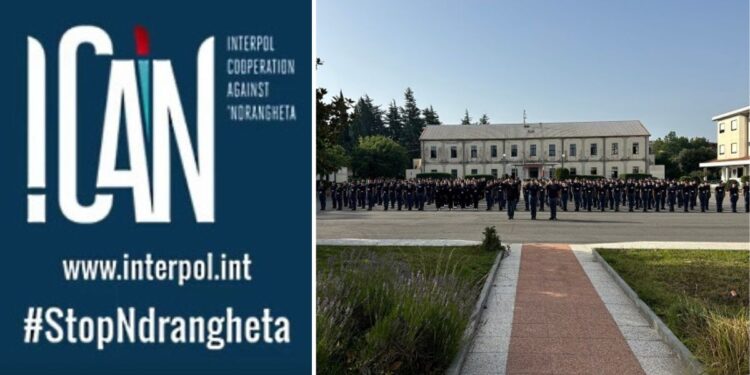 ’Ndrangheta senza confini: a Vibo Valentia il summit interforze