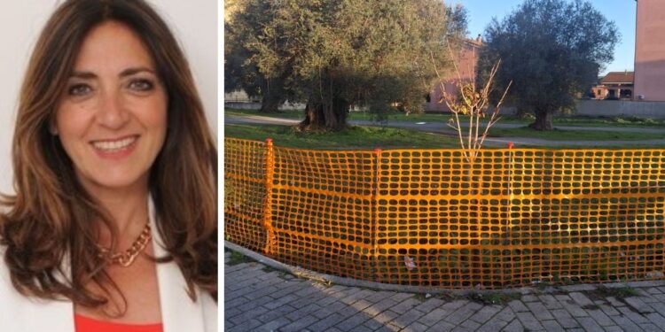Vibo. Katia Franzè (FdI) attacca il Comune: «A Moderata Durant basta con gli esperimenti elettorali»