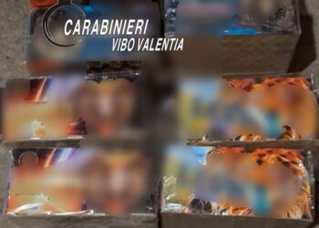 Deteneva esplosivo all’interno di un garage: 27enne denunciato nel Vibonese