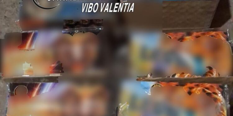 Deteneva esplosivo all’interno di un garage: 27enne denunciato nel Vibonese