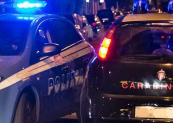 Polizia e Carabinieri