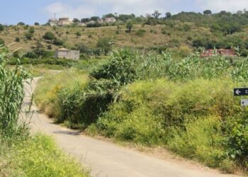 Ricadi: passi avanti per i lavori di recupero e riqualificazione ambientale in località Brace