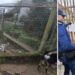 Il sequestro dell'area dove erano stipati cani e gatti in condizioni critiche