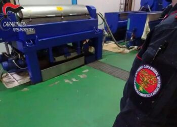 Sversamento illecito di acque di vegetazione: sequestrato un frantoio in Calabria