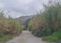 Tropea, nuovo appello da Contrada Gornella: «Strada completamente abbandonata»