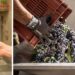 In Calabria si può fare turismo anche in autunno: il tempo rallenta e i colori cambiano
