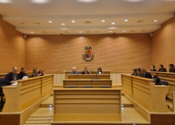 Una fase del Consiglio provinciale del 21 gennaio